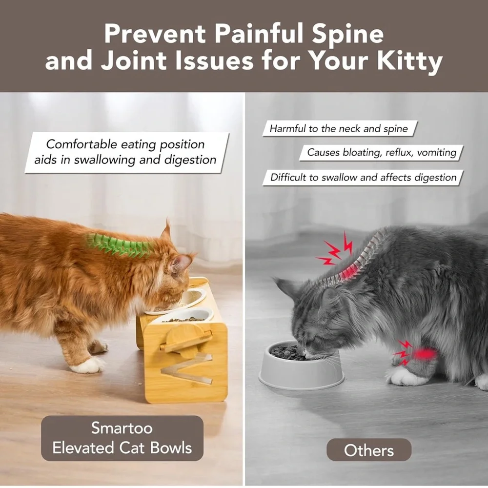 Elevated pet bowls for cats and small dog